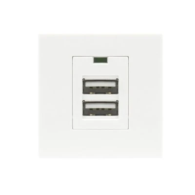 Modiwl Pŵer Twin USB A